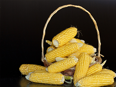 消費(fèi)趨勢(shì)是決定種子銷量的最大因素