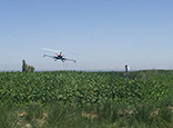 無(wú)人機(jī)低空施藥防治病蟲(chóng)害
