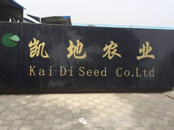 2017ʮЇ_˹̹ЇƷչ[AMekCʡ̄ՏdFPw