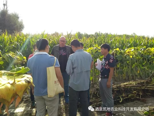 Қgӭ(ni)⌣Ҽ͑WRҹ˾ƷNԇ^ĦW