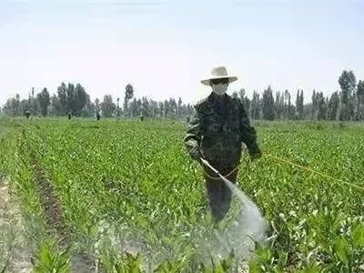 ʲôr(sh)gˎǧf(wn)ӛee(cu)